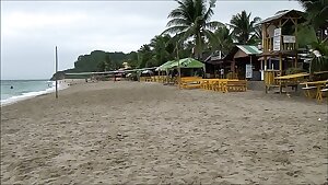 Dollar Wild Shows White Beach Puerto Galera Philippines